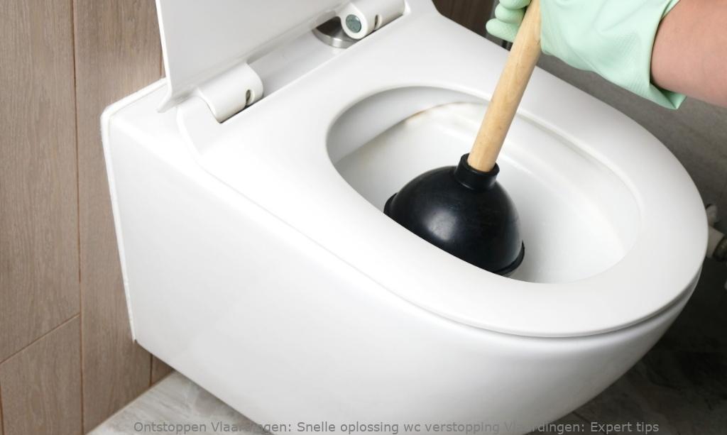 Snelle oplossing wc verstopping Vlaardingen: Expert tips