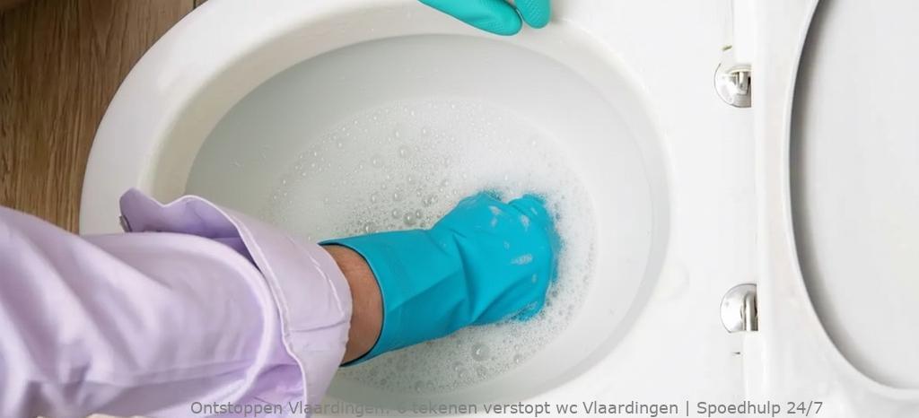 6 tekenen verstopt wc Vlaardingen | Spoedhulp 24/7